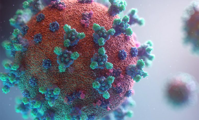 This is how coronavirus jump from species to species