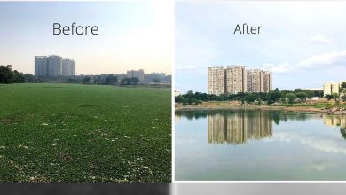 Hyderabadi couple, with help of 100 students, revive deteriorating Meedi Kunta lake