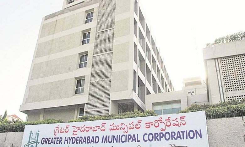 stray dog attack in Hyderabad