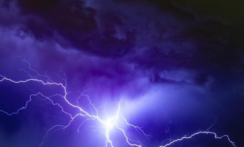 2 people, 2 bullocks killed by lightning in Telangana