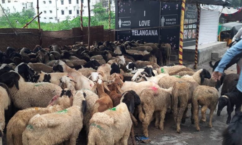Eid Al Adha holiday in Telangana
