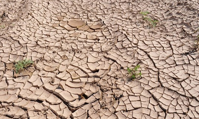 Over 1.51 million people affected due to drought in China