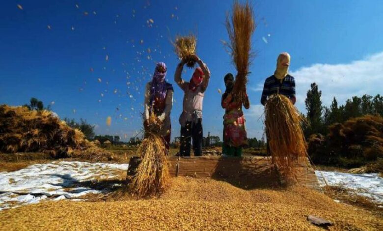 Paddy procurement to continue till last grain, says Telangana DyCM
