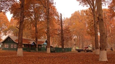 Kashmir University