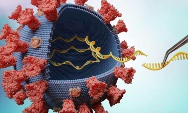 India logs 614 new coronavirus cases, highest since May 21