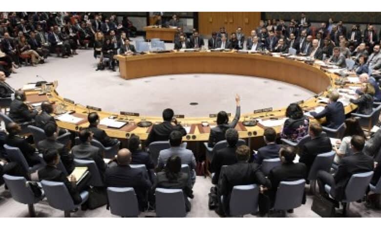UNSC adopts resolution on mental health support for peace personnel