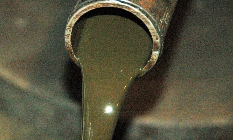 Oil Ministry finalising report suggesting ways to cut crude dependency by 2024-25