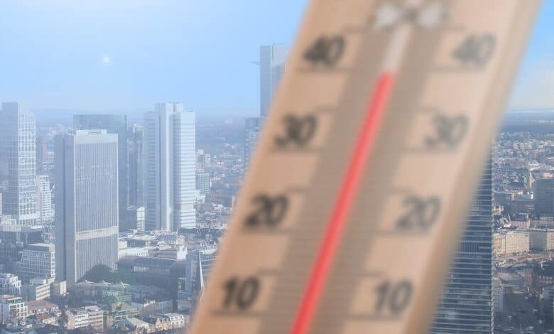 Early heat may adversely affect wheat, other crops: IMD