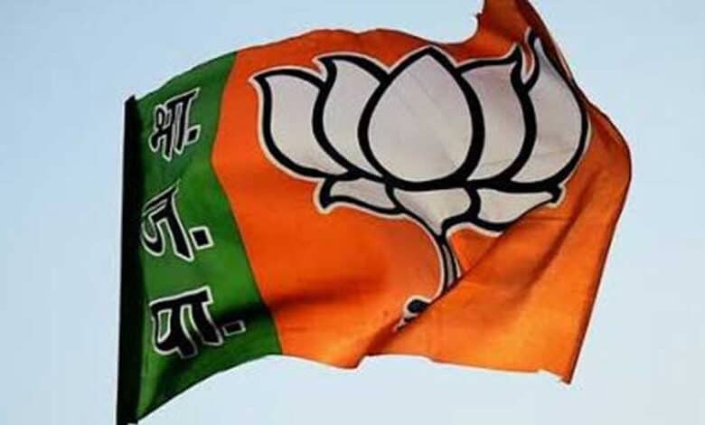 'Nari tu naukrani:' Haryana BJP leader quits party