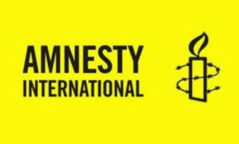 Amnesty International says Egypt trying to cover up human rights violations
