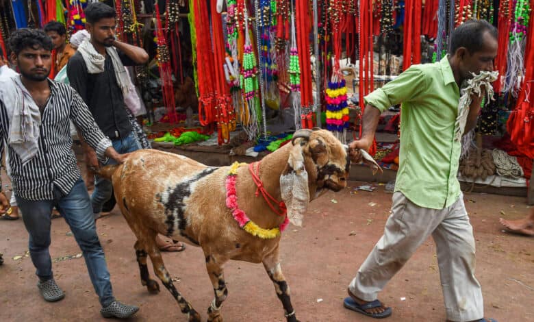 No social media display of ‘qurbani’: Islamic Centre’s advisory