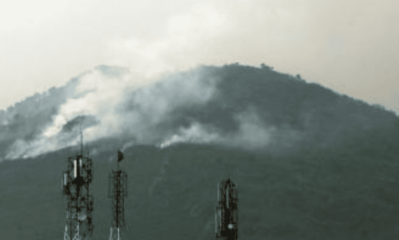 56% of Pakistanis willing to pay more for environmental protection: Survey