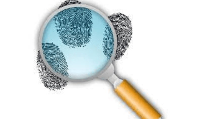 fake fingerprint