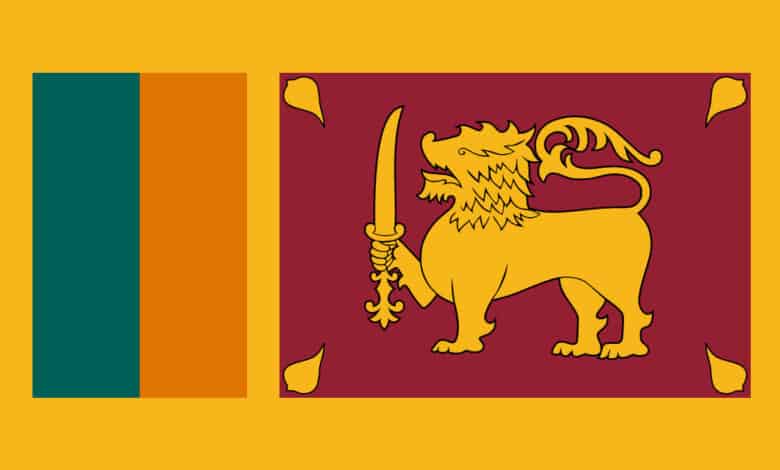 Over 3 lakh Sri Lankans leave country for foreign jobs this year