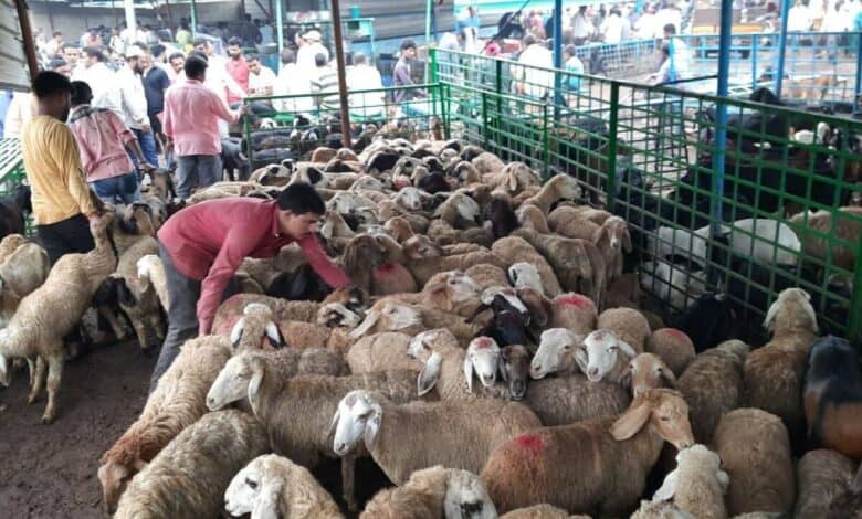 Bakrid in hyderabad