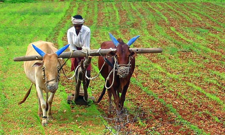 Kerala farmer goes missing during govt-sponsored trip to Israel; probe launched