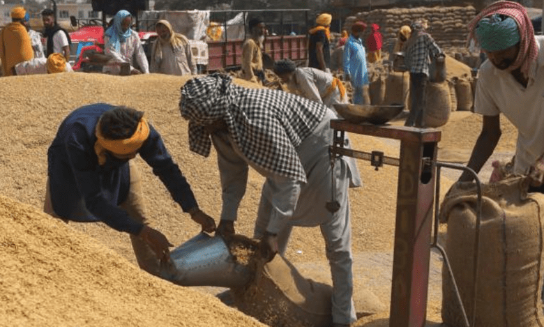 Paddy procurement crosses 700 LMT mark, Rs 1,45,845 crore MSP paid to farmers