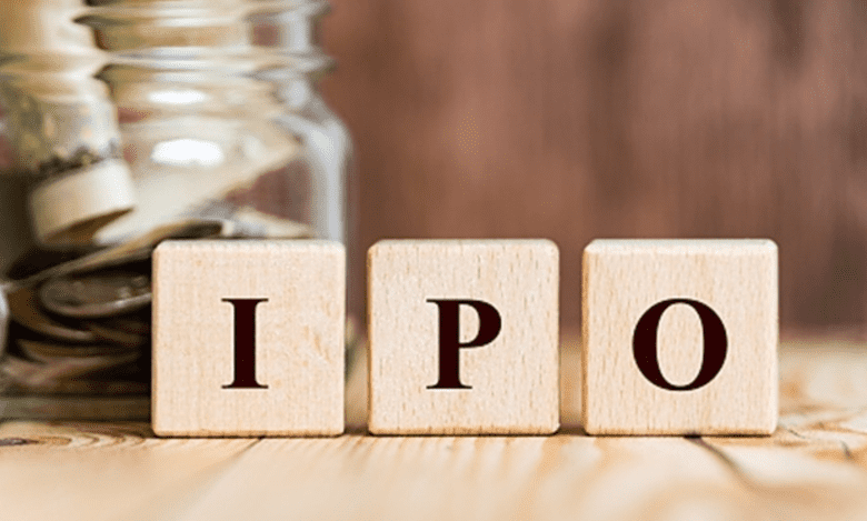 IPO fundraising in India halves in 2022