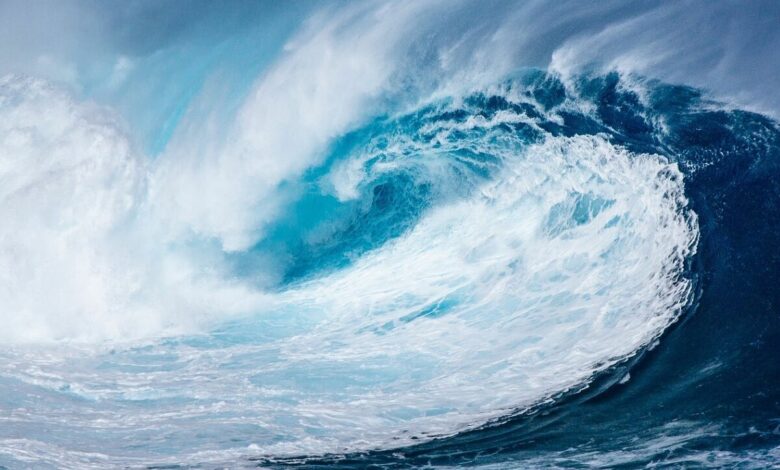 Tsunami due to earthquake in New Zealand