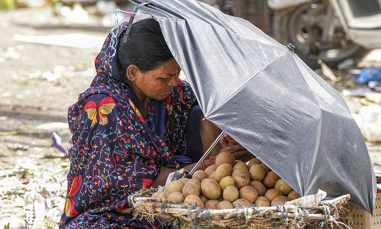 2023 likely to become hottest year ever recorded