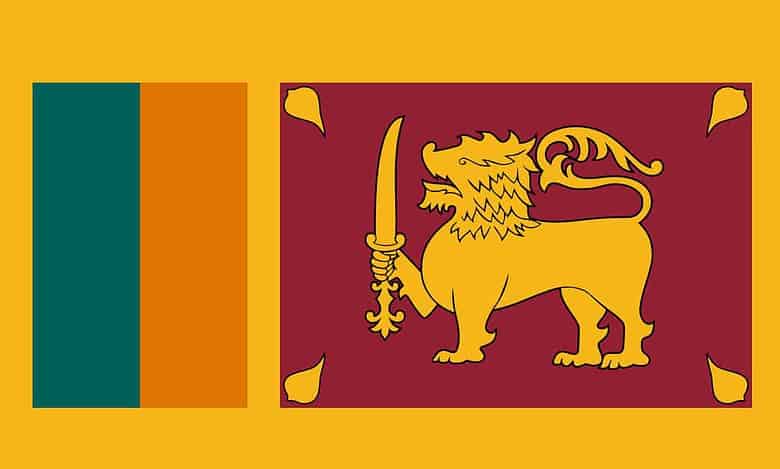 Sri Lanka's parliamentary committee approves debt restructuring plan with amendments