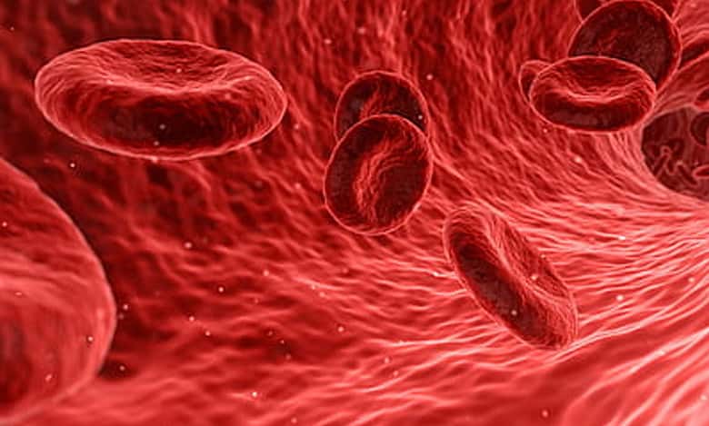 Hyderabad: Blood Bank raided for unauthorised sale of components to patients