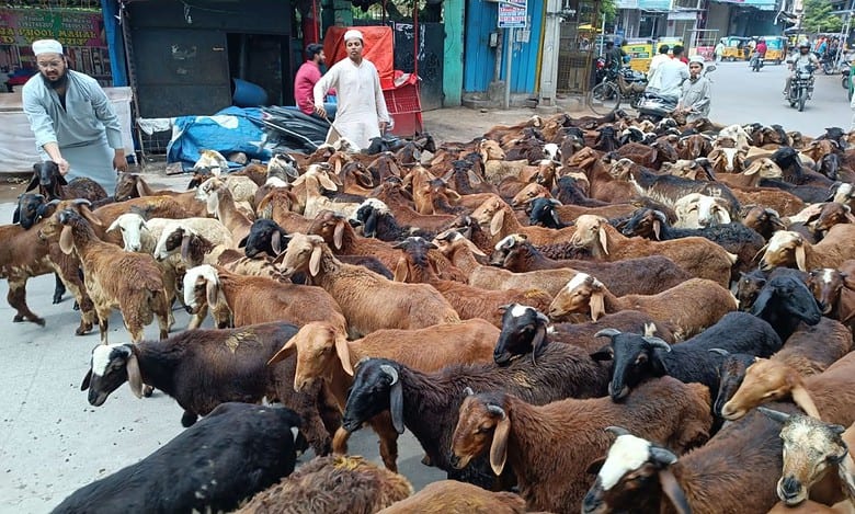 Sheep prices in Hyderabad ahead of Eid Al Adha
