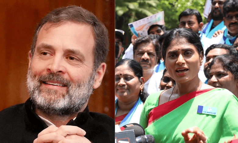 Sharmila congratulates Rahul on being reinstated as MP