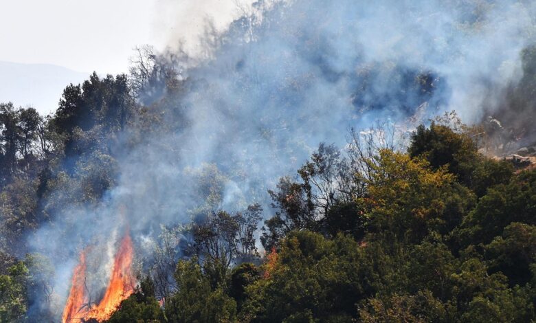 Firefighters battle raging wildfires in Syria amid harsh heat wave