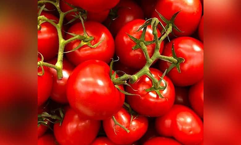Tomato price skyrockets in Hyderabad due to rainfall in Telangana
