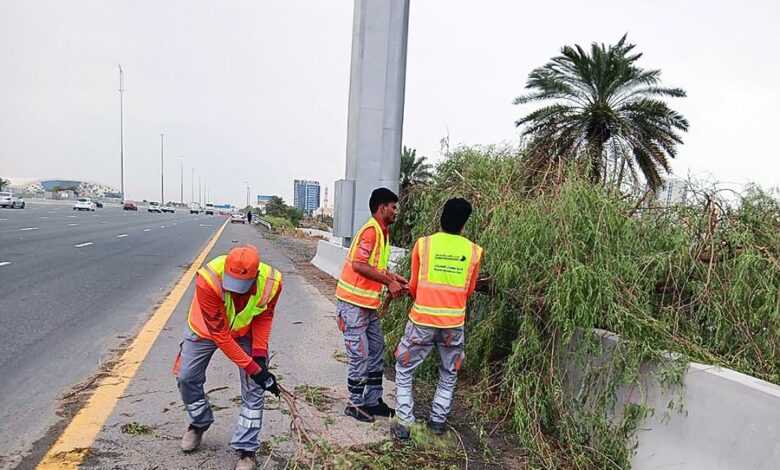 Dubai Municipality responds to 100 emergencies due to rainstorm