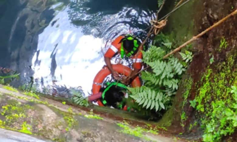 Girl falls into 45-feet deep well, rescued by Goa fire service