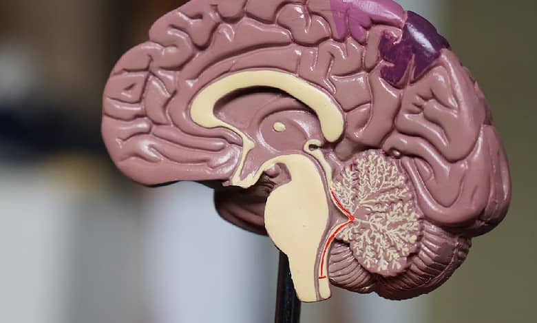 Indian-origin scientists identify 11 risk factors for developing dementia