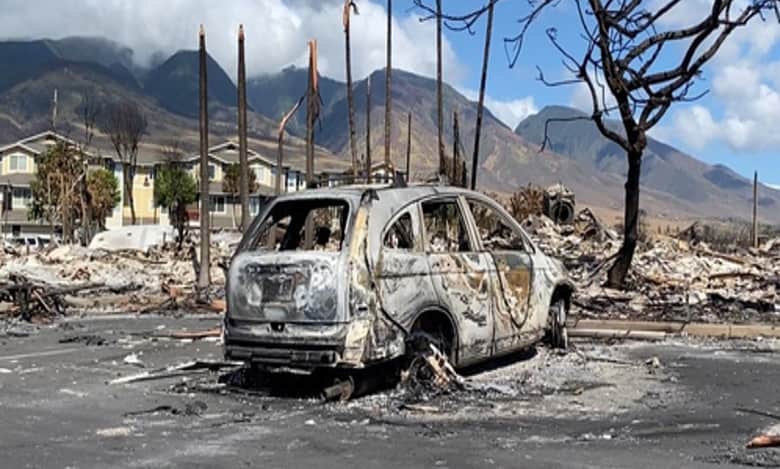 Death toll from Hawaii wildfires reach 114 as search for victims continues