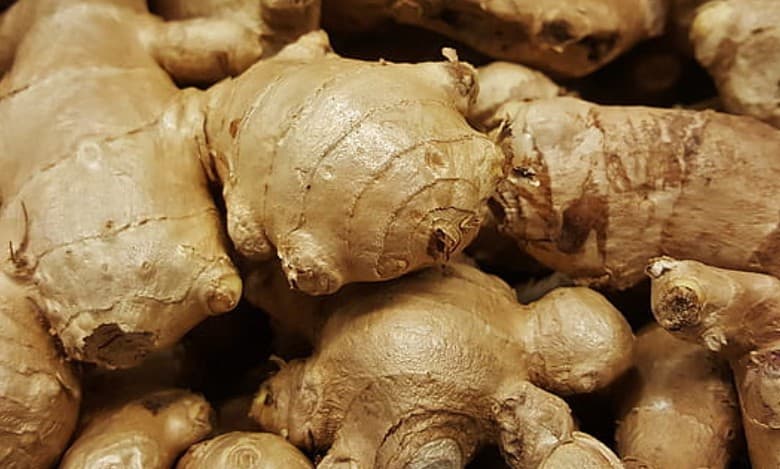 Ginger supplements can be beneficial in treating autoimmune diseases: Study