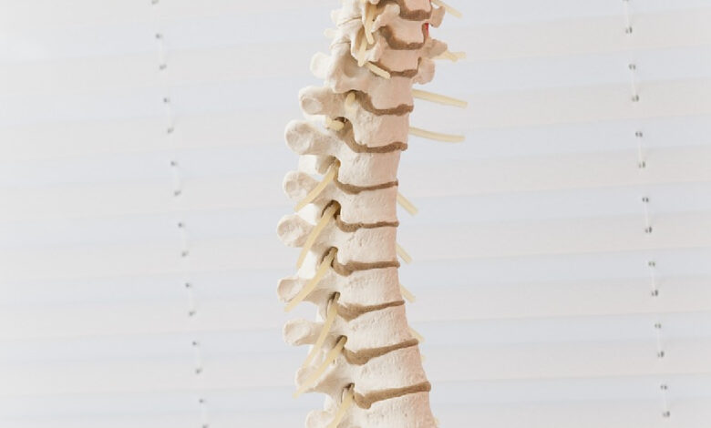 15-20 pc spinal injuries in India due to road accidents, says doctor