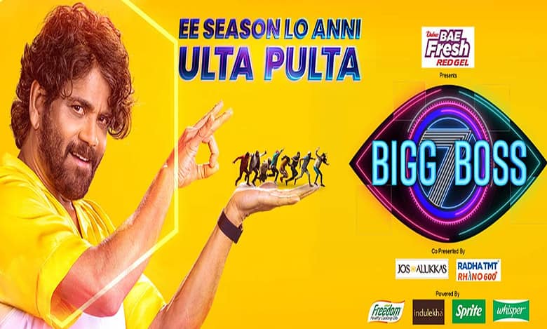 Bigg Boss Telugu 7: Final list of 14 contestants & their professions