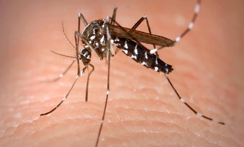Niloufer Hospital refuses to give data on seasonal diseases in Hyderabad