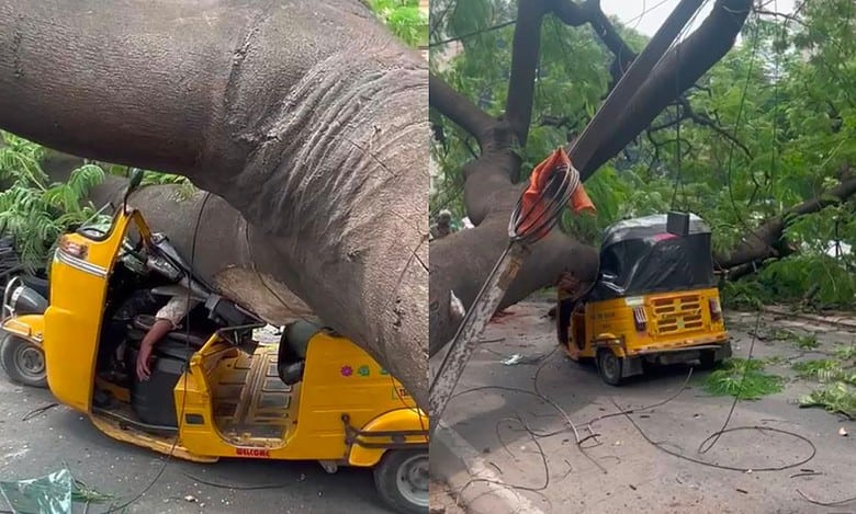 Hyderabad: Tree falls on stationary auto in Himayath Nagar; driver dead