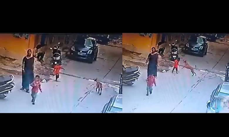 Watch: Stray dog pounces on the little kid in Hyderabad's Tappachabutra