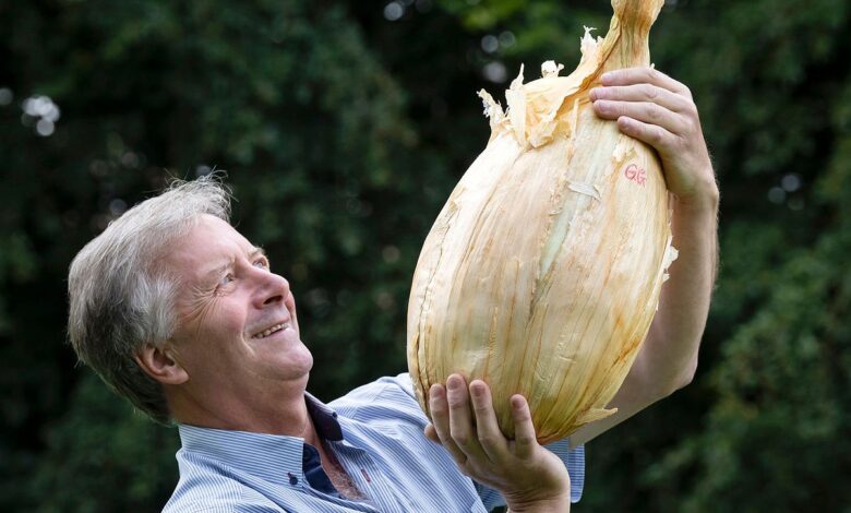 Giant onion weighing nearly 9kg set to break world record