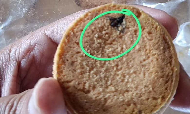 Hyderabad: Man finds fly in Osmania biscuit, GHMC assures action