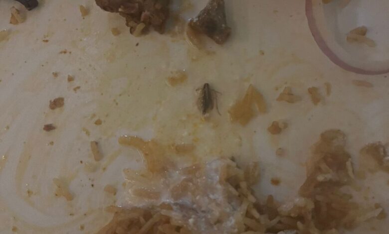 Hyderabad restaurant biryani