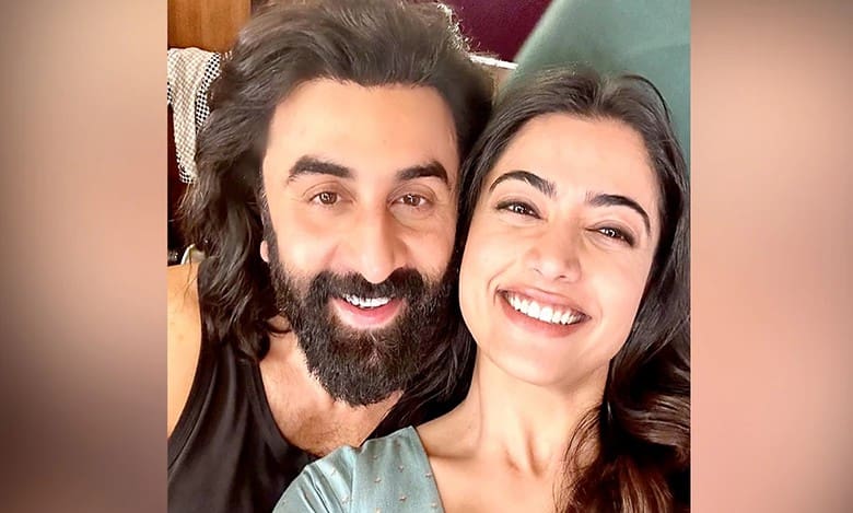 Animal: Ranbir Kapoor, Rashmika Mandanna's paychecks revealed