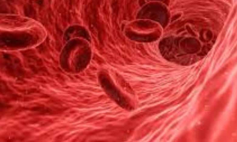 Hyderabad: National conference on Thalassemia on October 7