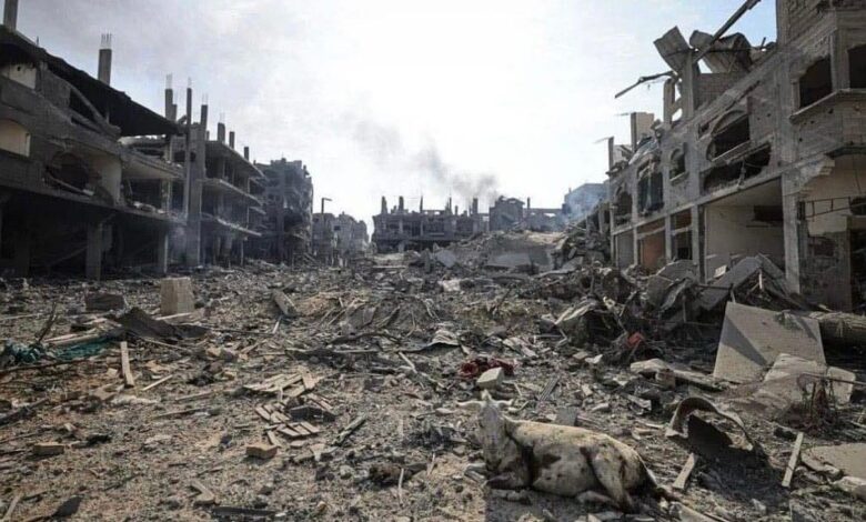 1300 Israelis, 1,417 Palestinians killed as war enters 6th day