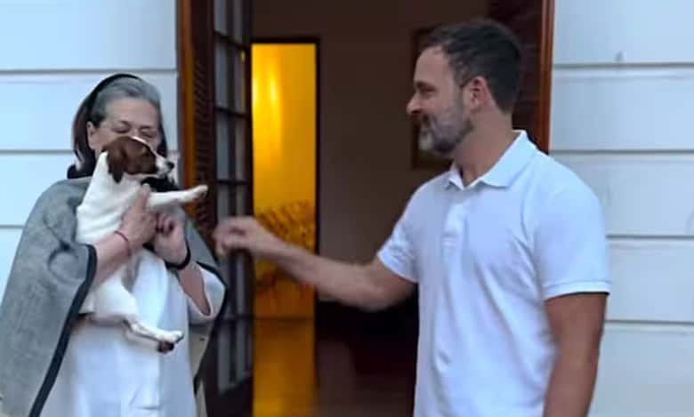 AIMIM leader moves court on Rahul Gandhi over pet dog's name