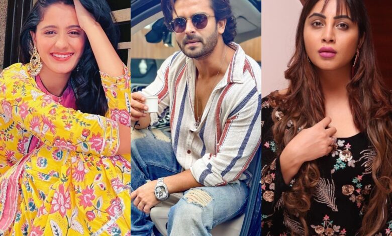 Jhalak Dikhhla Jaa 11: Shoaib to Arshi, list of 11 contestants