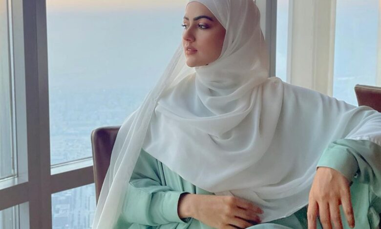 When Sana Khan slammed a troll for mocking her 'Hijab'