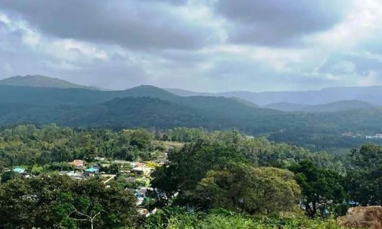 Karnataka: Illegal constructions in BRT Tiger Reserve area come to light